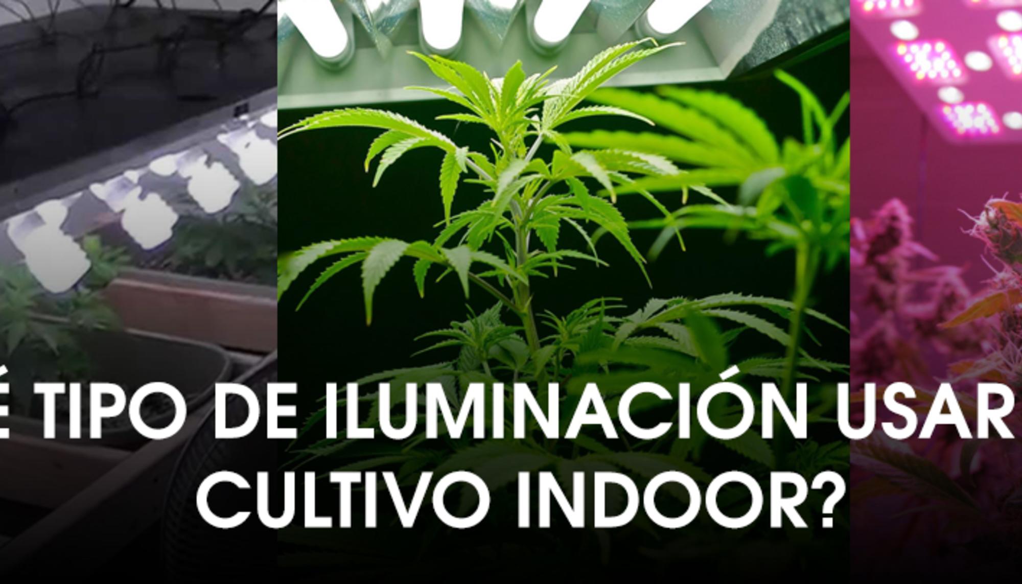 iluminacion indoor